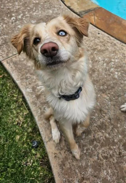 Freckles thumbnail 4