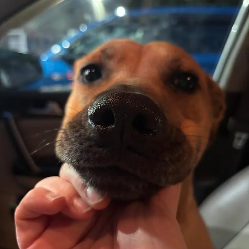 Clarissa thumbnail 2