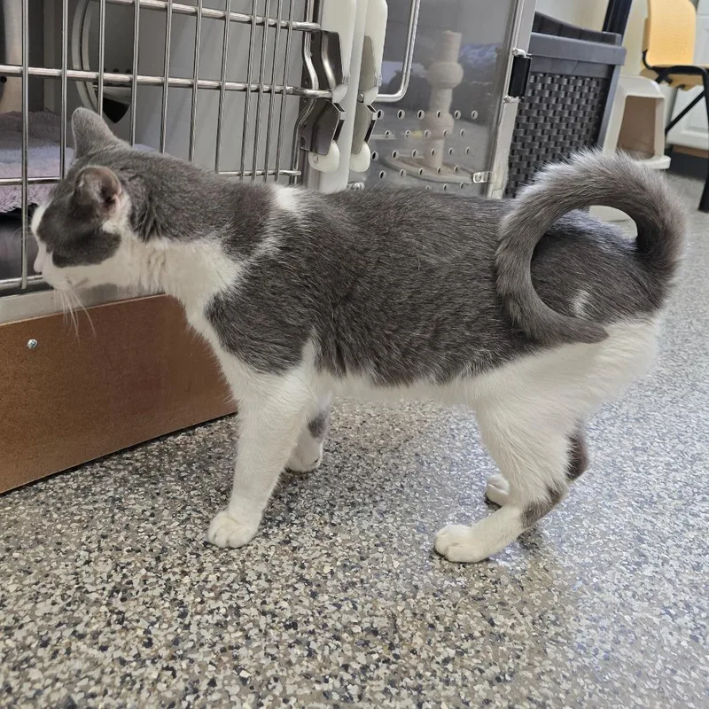 Matty "madison" thumbnail 2