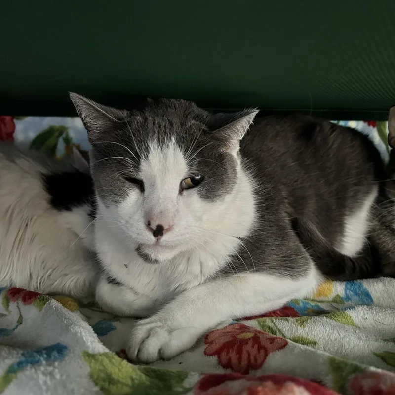 Matty "madison" thumbnail 3