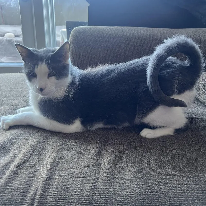 Matty "madison" thumbnail 4