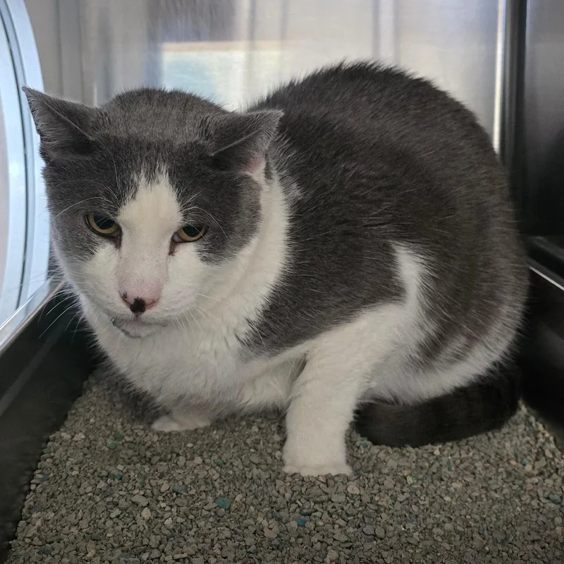 Matty "madison" thumbnail 5