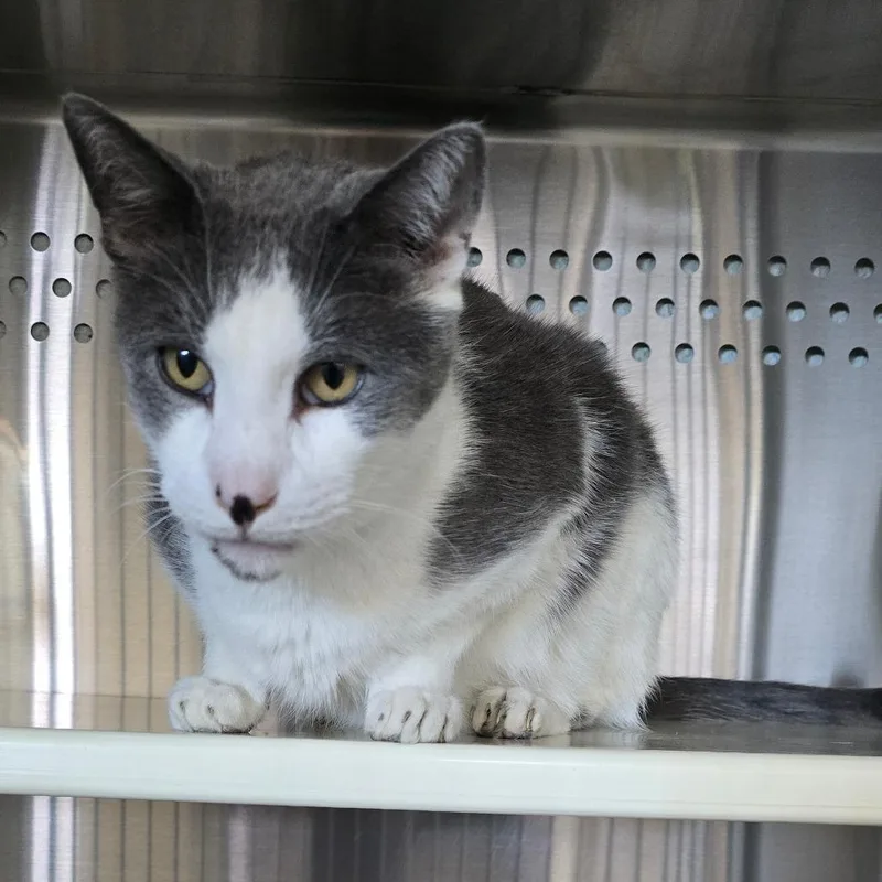 Matty "madison" thumbnail 6