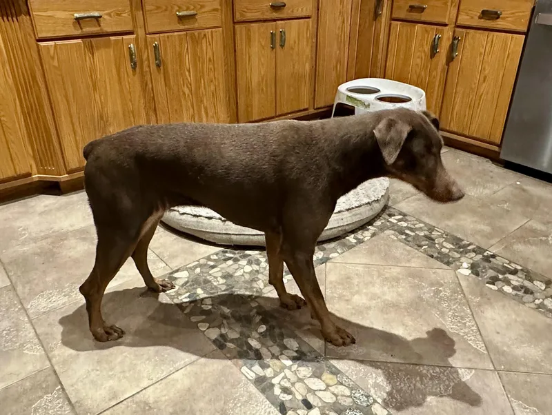 Sad Situation thumbnail 2