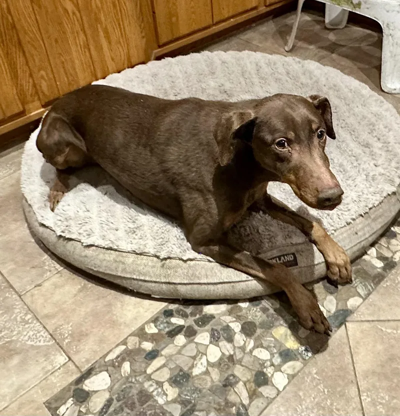 Sad Situation thumbnail 3