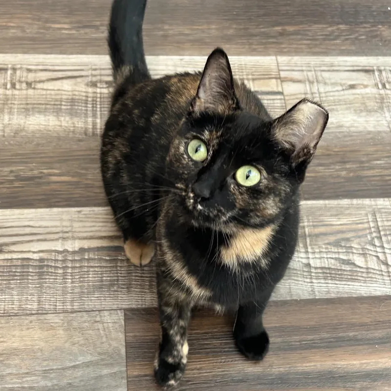 Cashin Out thumbnail 2