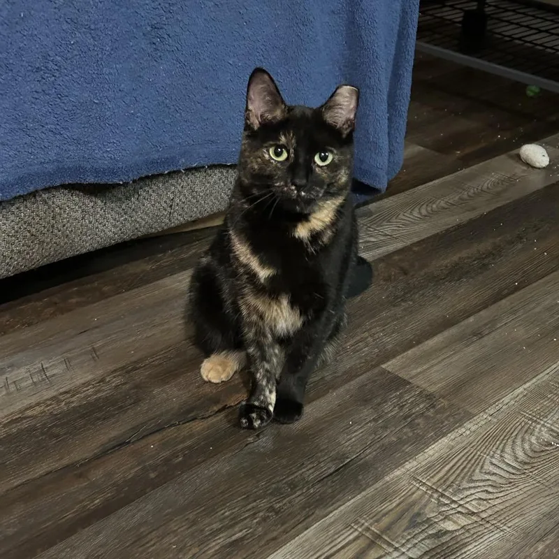 Cashin Out thumbnail 3