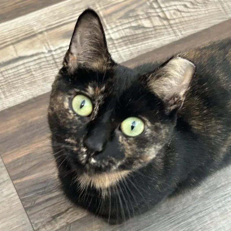 Cashin Out thumbnail 4