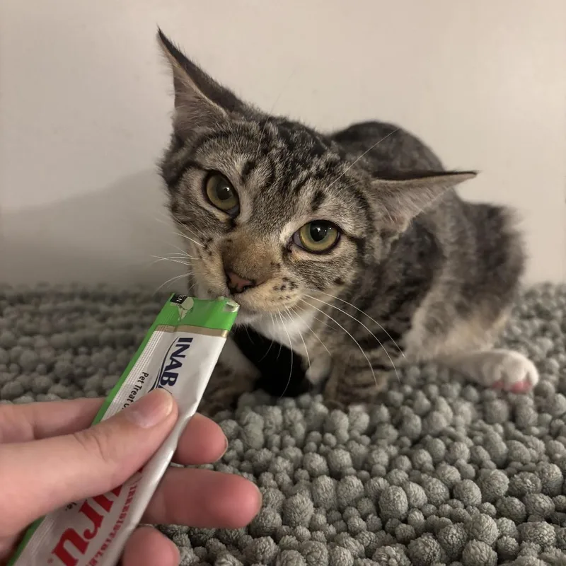 Garlic Bread thumbnail 3