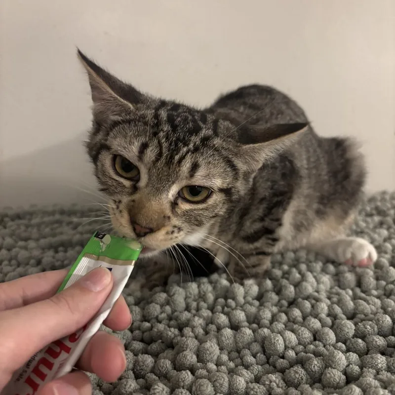 Garlic Bread thumbnail 4