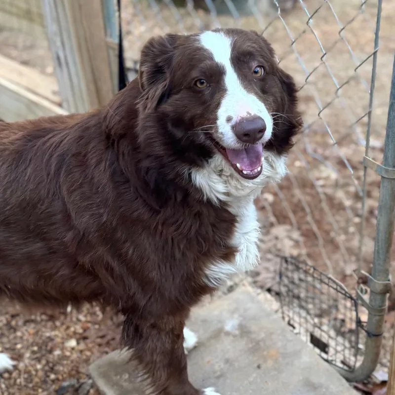 Tiesdale thumbnail 2