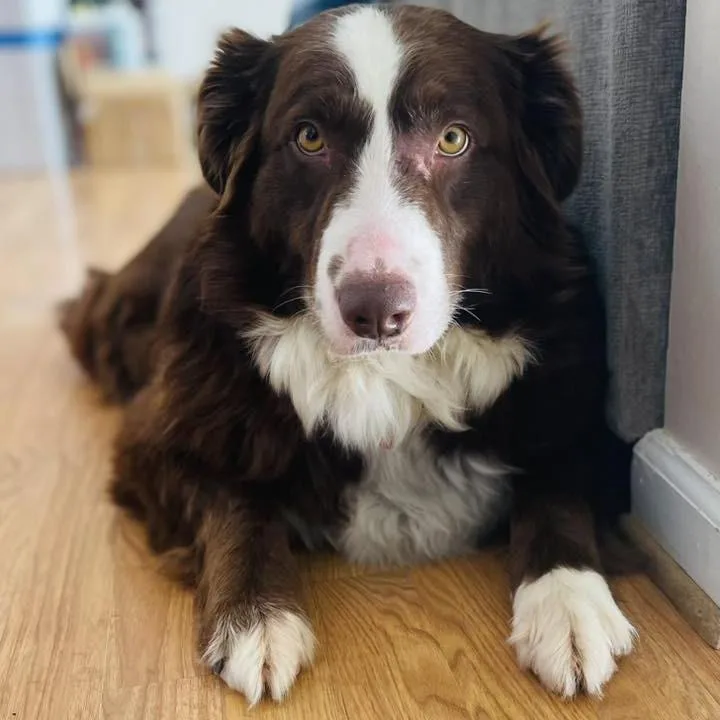 Tiesdale thumbnail 3