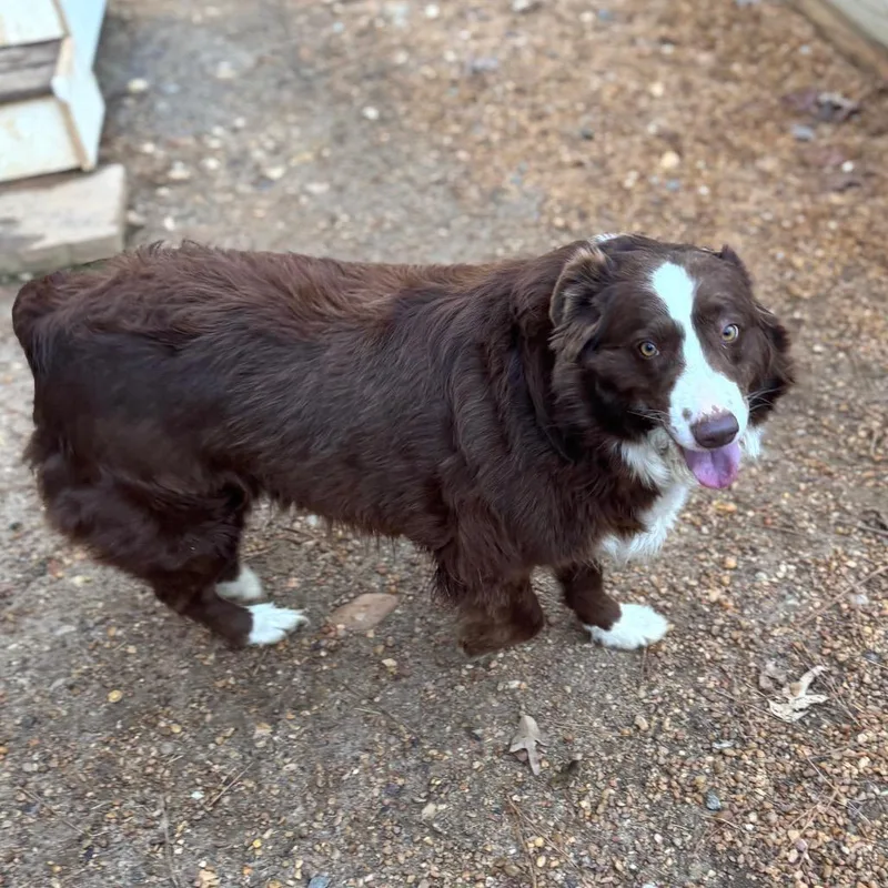 Tiesdale thumbnail 5