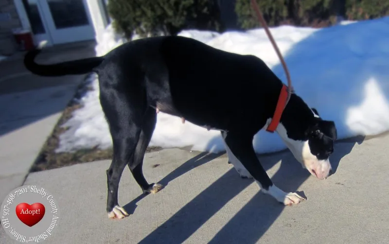 Birdie Yrly thumbnail 3