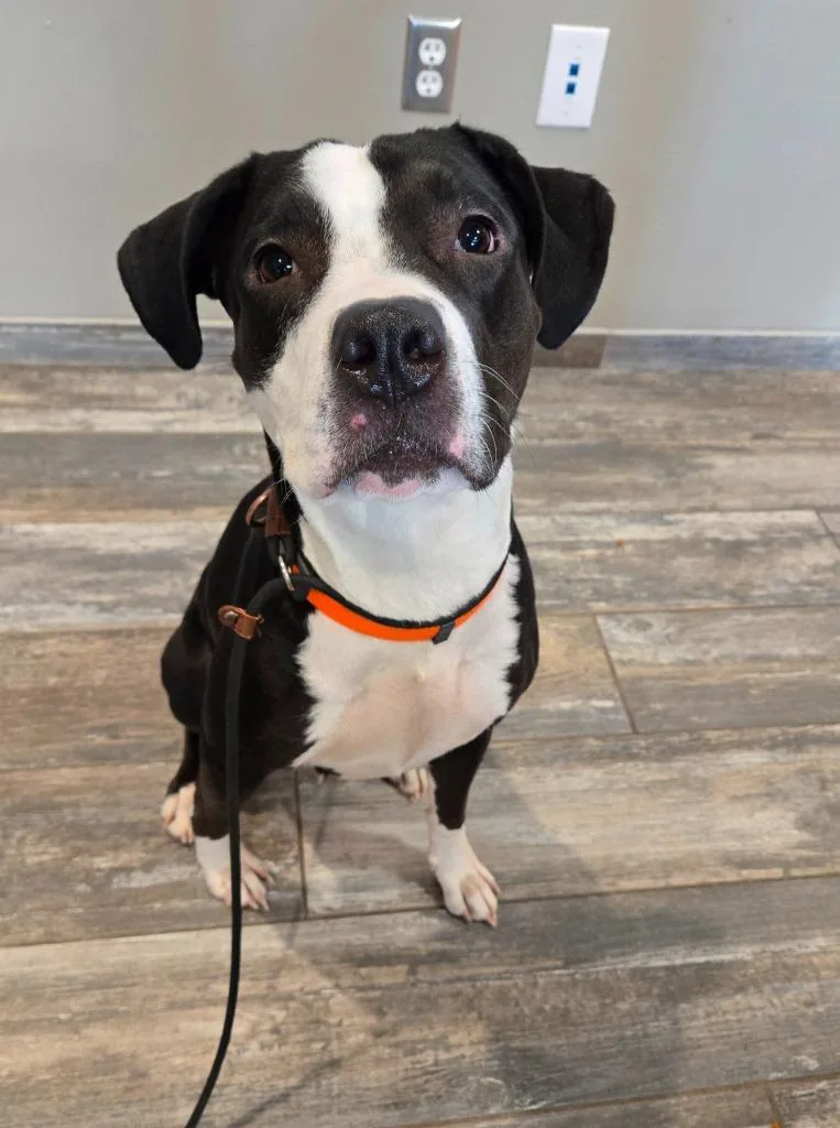 Birdie Yrly thumbnail 4