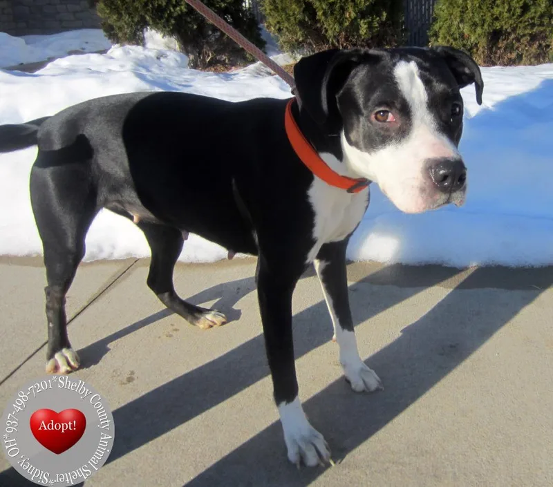 Birdie Yrly thumbnail 6