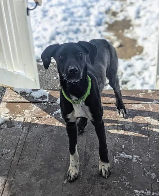 Daisy Aka Sprite thumbnail 2