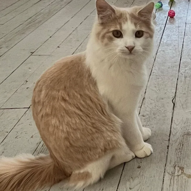 Frederick And Lake thumbnail 3