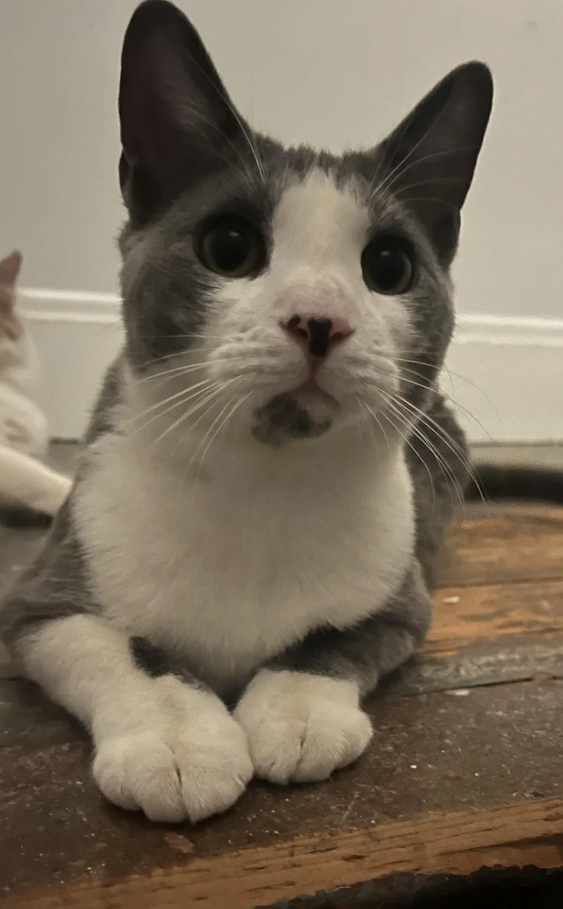 Parker And Marcy thumbnail 2