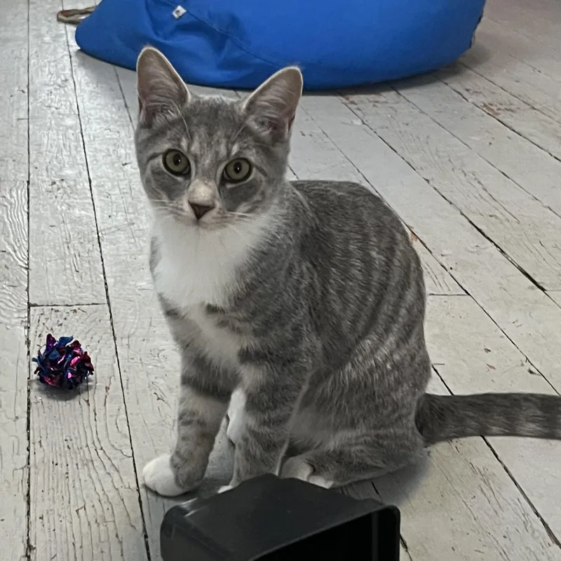 Parker And Marcy thumbnail 3