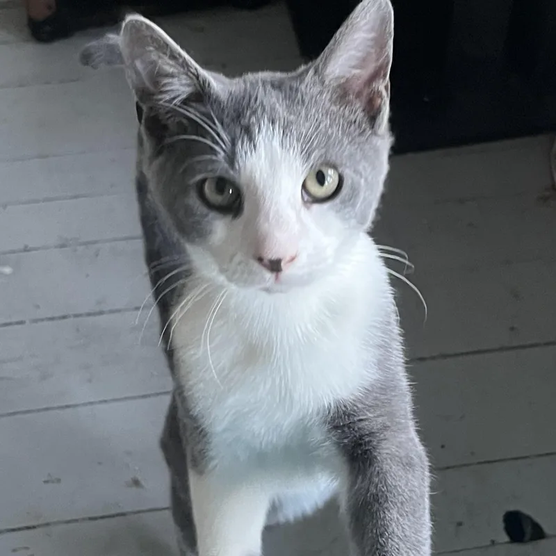 Parker And Marcy thumbnail 4