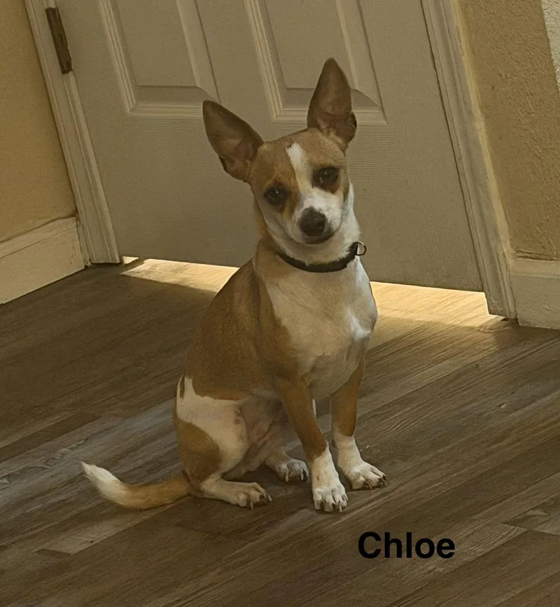 Chloe