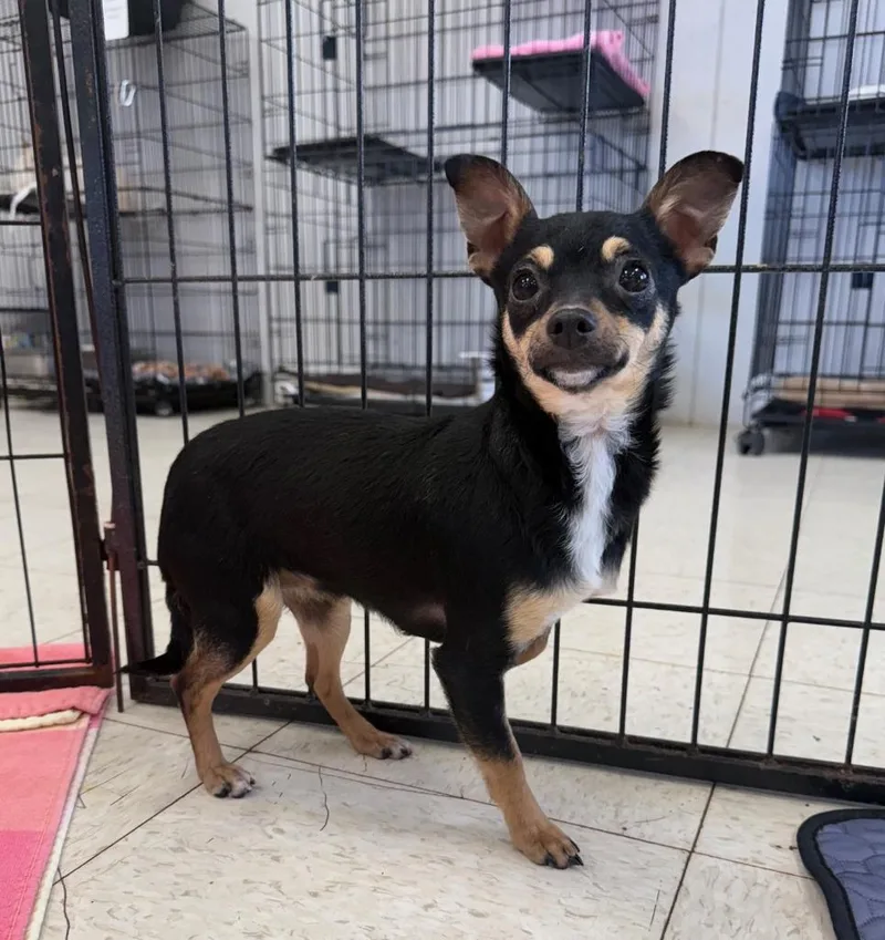 Samantha thumbnail 2