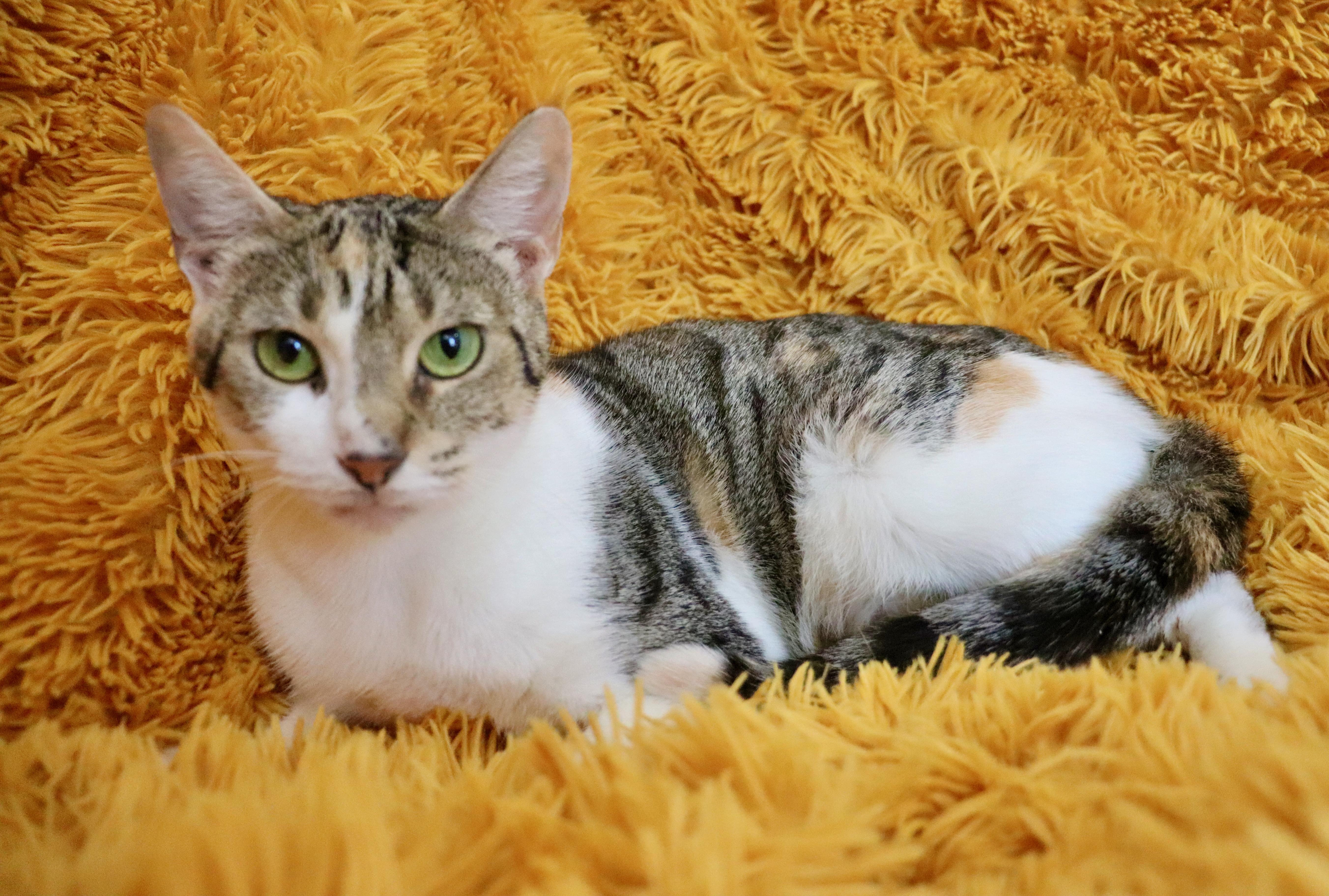 Mammacita thumbnail 2