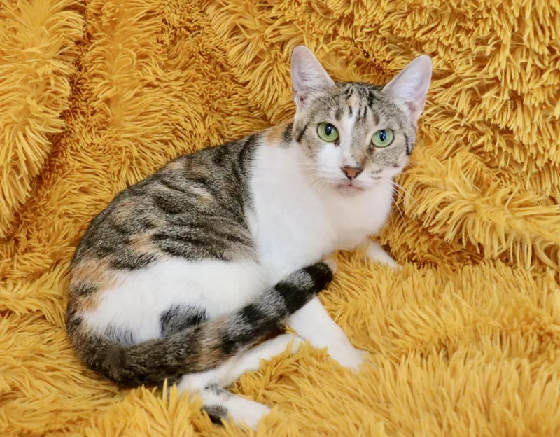 Mammacita thumbnail 3