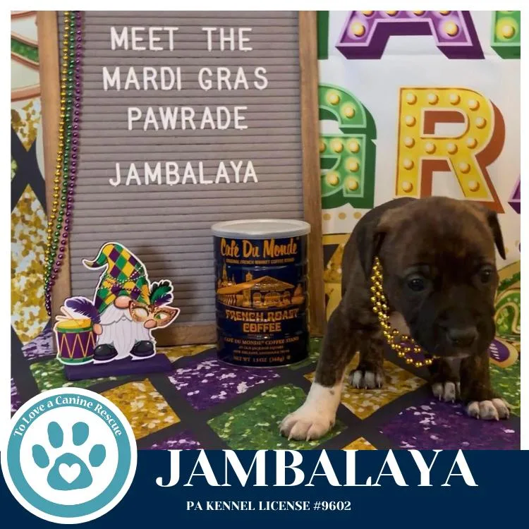 Jambalaya thumbnail 2