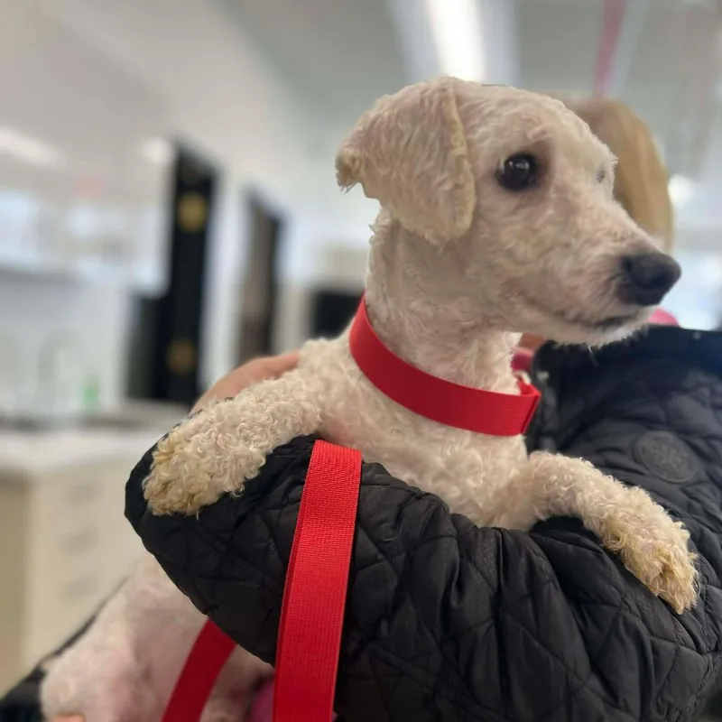 Graphite thumbnail 2