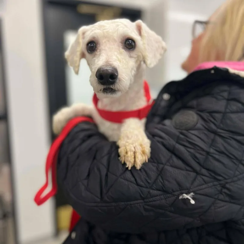 Graphite thumbnail 3