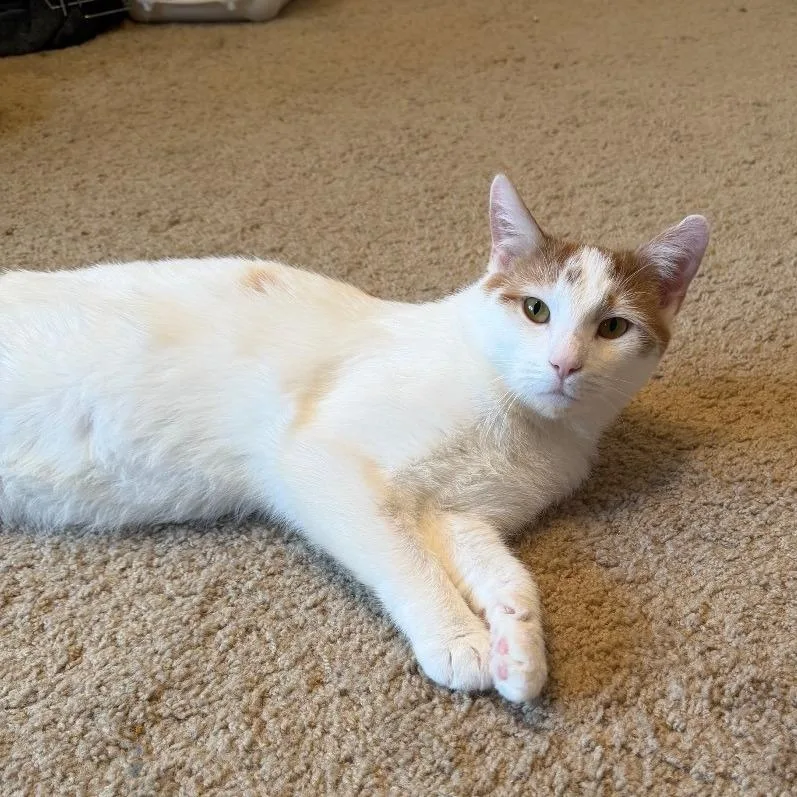 Poseidon thumbnail 3