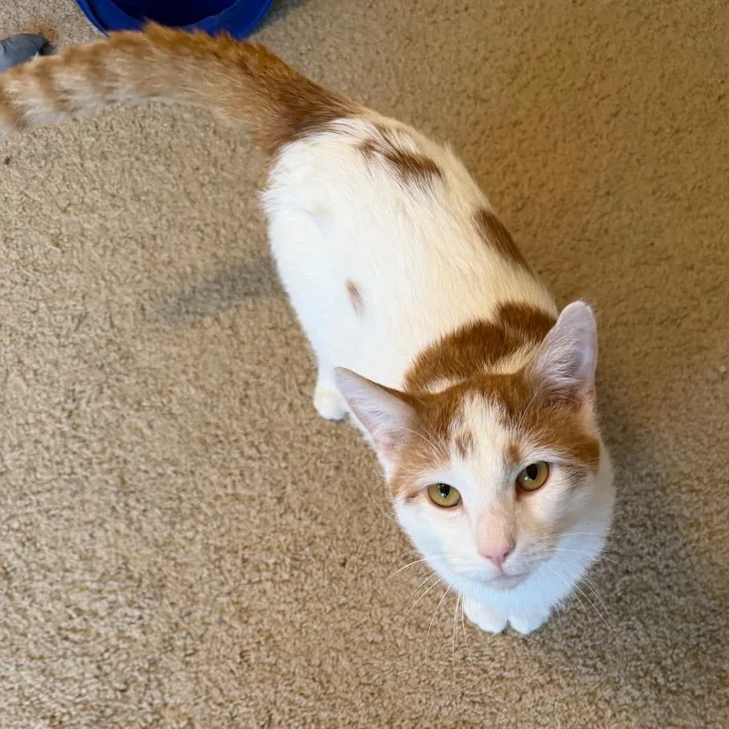 Poseidon thumbnail 5