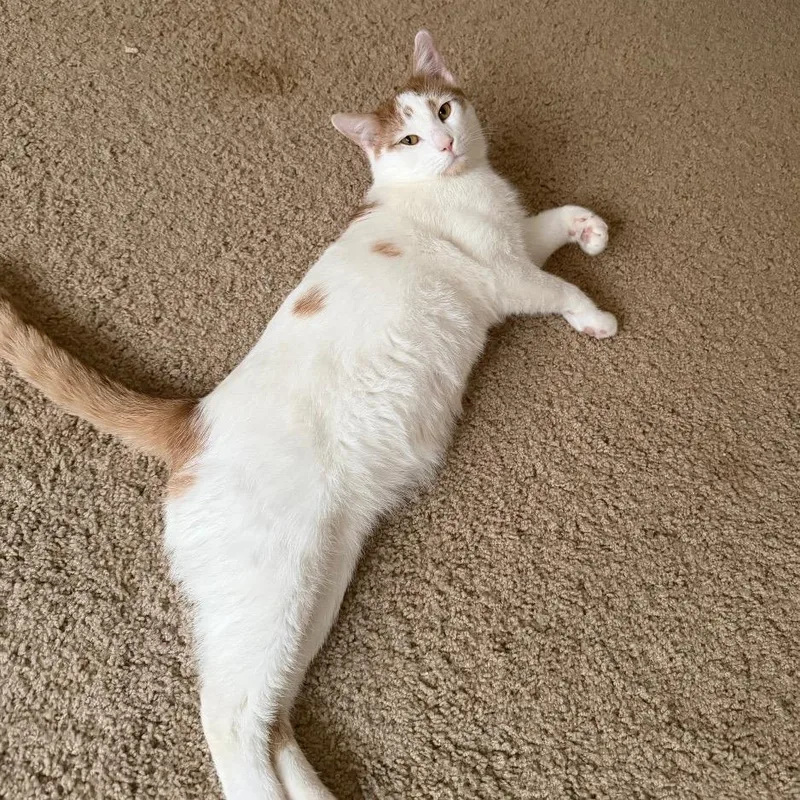 Poseidon thumbnail 6