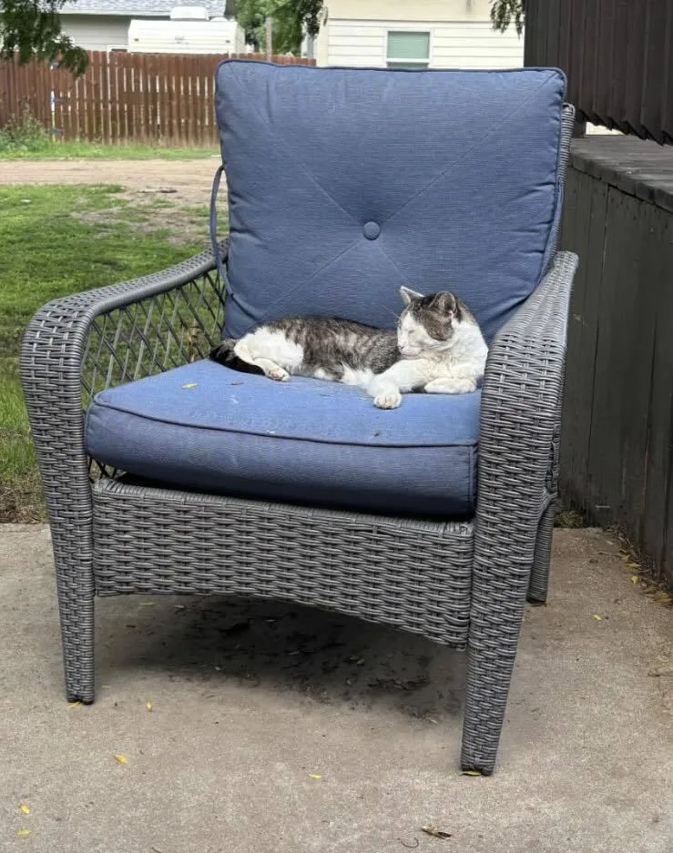 Chocolate thumbnail 4