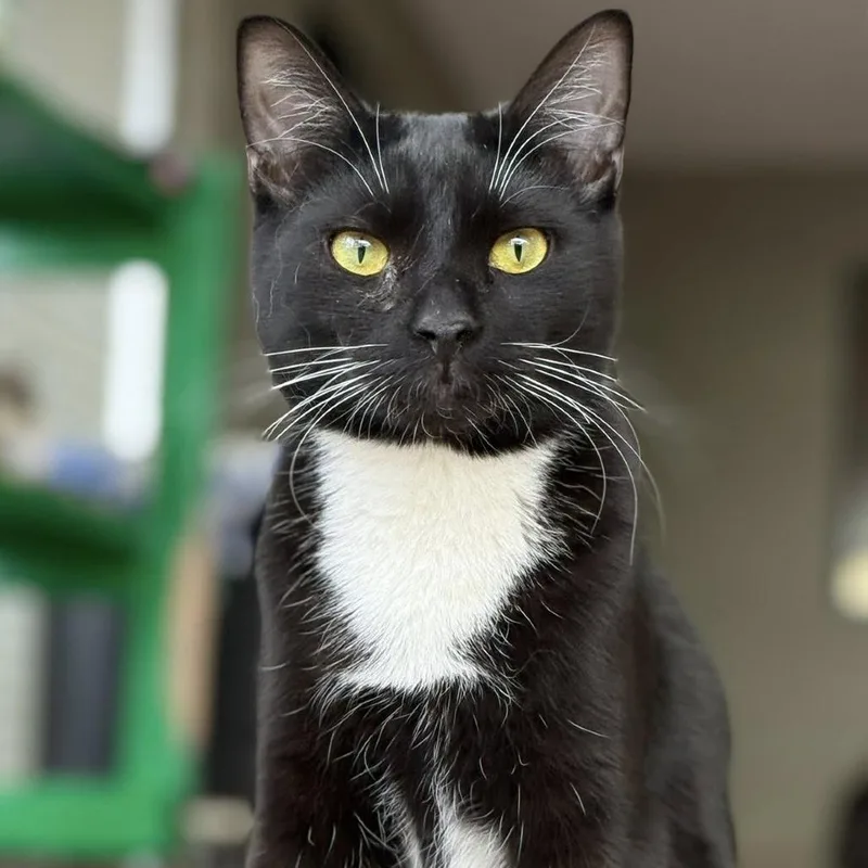 Lucky Day thumbnail 2