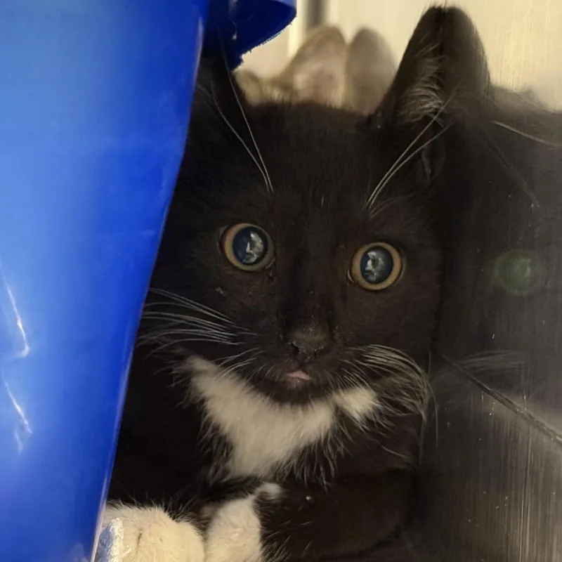 Lucky Day thumbnail 3