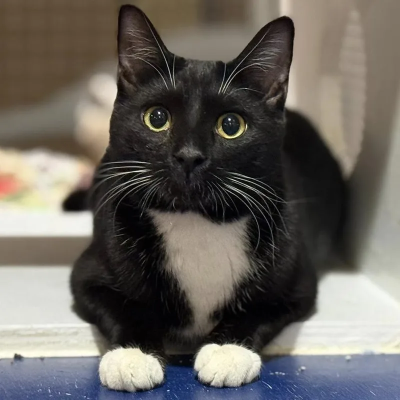 Lucky Day thumbnail 4