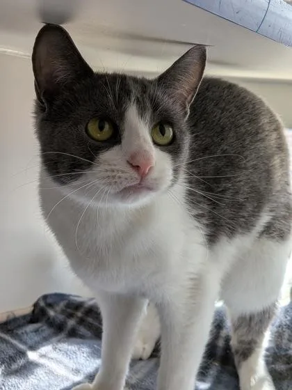 Minniehaha thumbnail 2