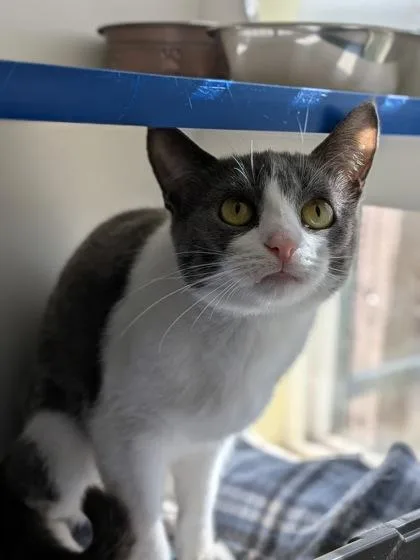 Minniehaha thumbnail 3