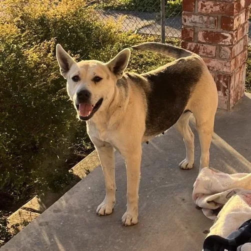 Stevie Nyx thumbnail 2