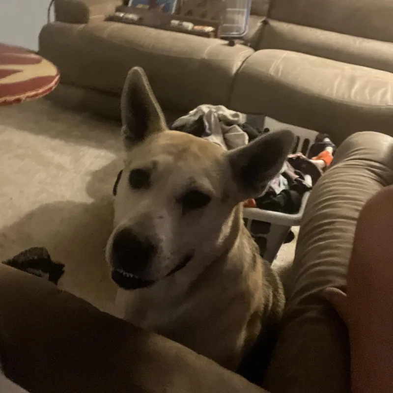 Stevie Nyx thumbnail 3