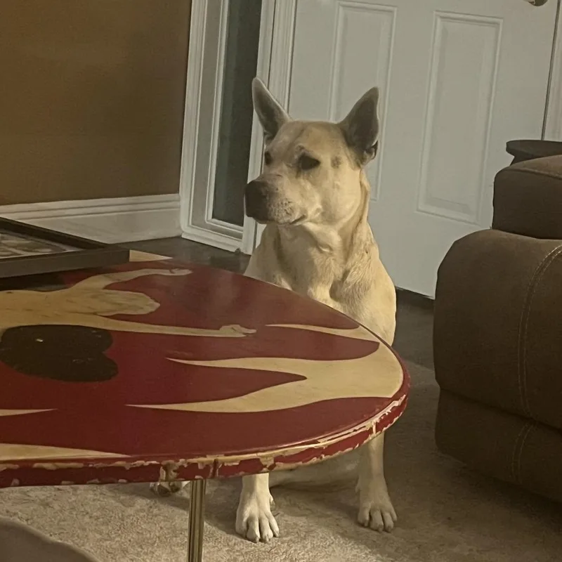 Stevie Nyx thumbnail 5