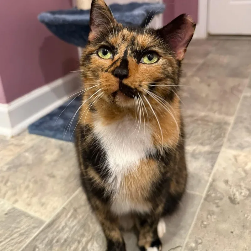 Carrotcake And Marble thumbnail 4