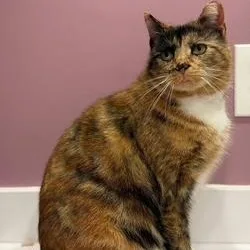 Carrotcake And Marble thumbnail 5