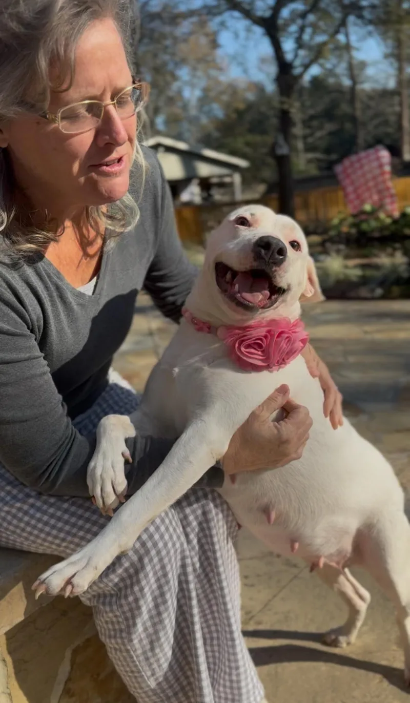 Morticia Addams thumbnail 5