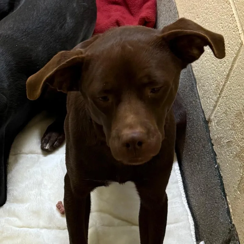 Little Man thumbnail 3