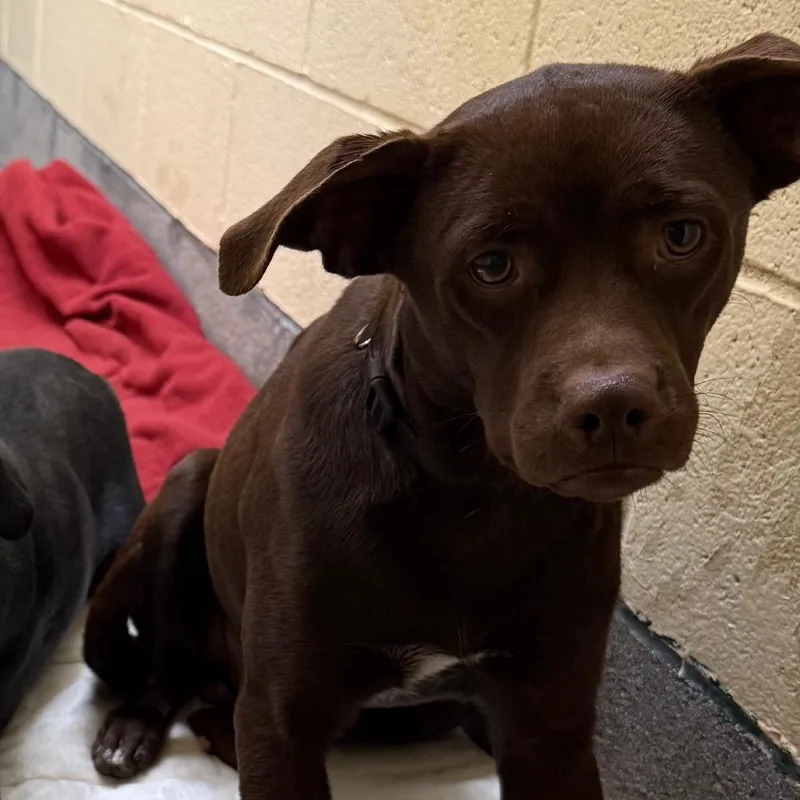 Little Man thumbnail 4