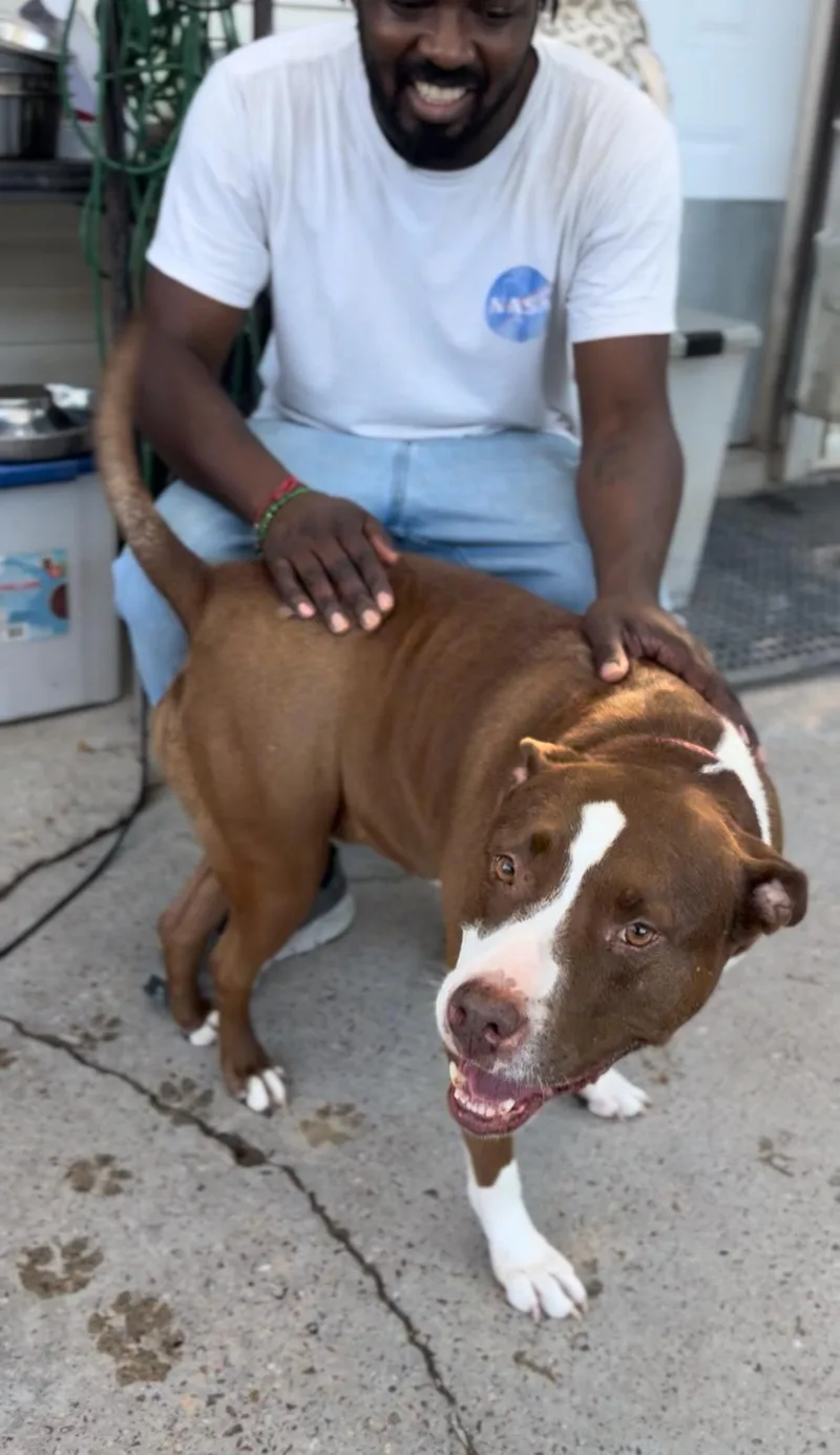 Queen Bessie thumbnail 2